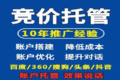 成功企业SEM竞价代运营案例研究
